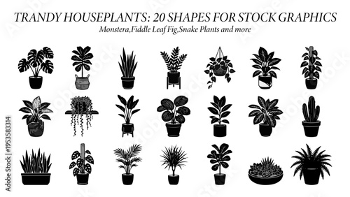 set of trandy houseplants