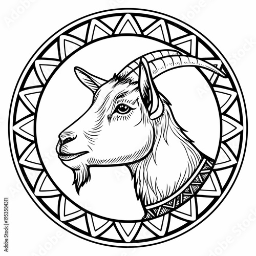 A black and white goat with a horn