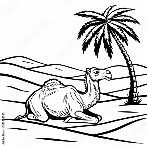 A camel sitting on the sand