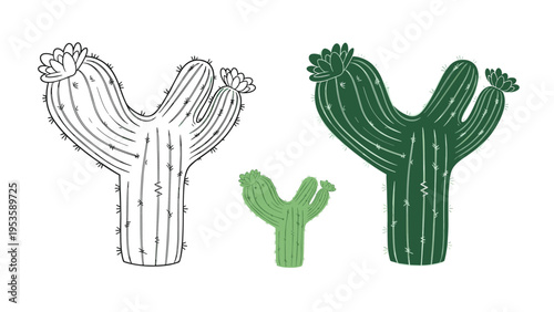 Letter Y shaped like a green cactus with pink flowers shown in outline and different green shades for educational nature themes.