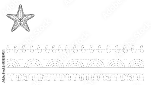 Prewriting skills worksheet for preschoolers featuring a starfish and various curved tracing lines to develop fine motor control for kids.