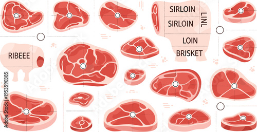 Beef Cuts Diagram with Labeled Steak Sections Including Ribeye Sirloin Loin and Brisket for Butchery Guide Meat Chart Illustration