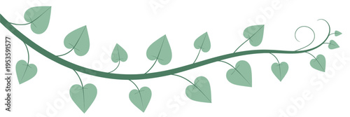 A stylized green vine with heart shaped leaves on a white background