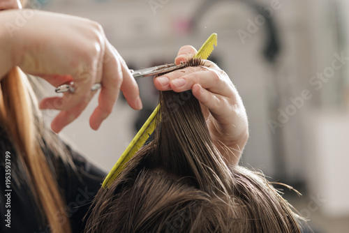 Hairdresser trimming wet hair with scissors and comb close up