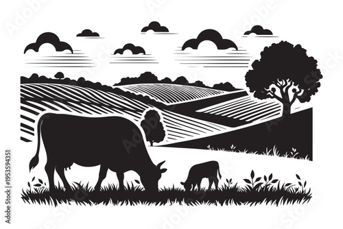 Agriculture field and grazing cows silhouette background.