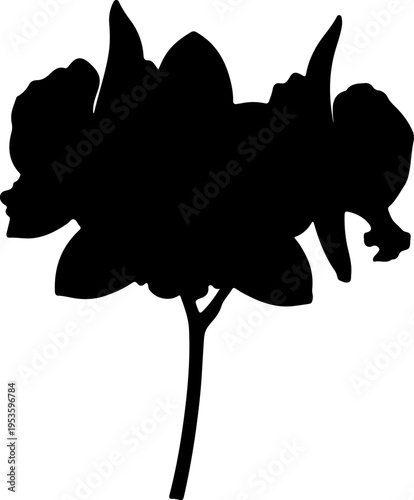 Silhouette of a beautiful orchid flower on a stem