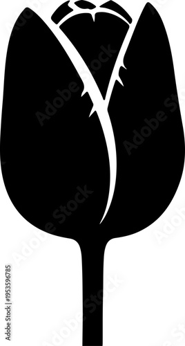 Clean graphic silhouette of a developing tulip flower, representing new beginnings and floral elegance in simple form