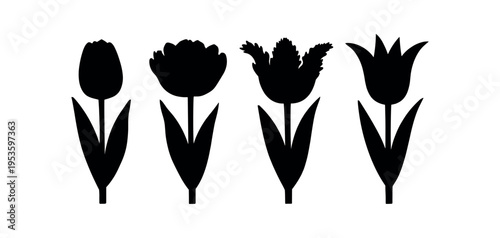 Four stylized tulip silhouettes showing different petal shapes and stems.