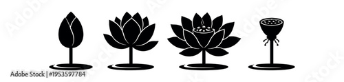 Flower and leaf decorative icon set. Lotus, tulip, bud, plant symbol. Black silhouette vector illustration.