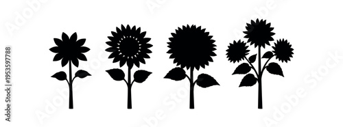 Sunflower silhouette icon set. Garden flower, plant, summer nature symbol. Black flat vector illustration.