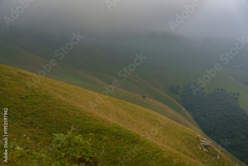 Foggy mountain hillside with winding road and low clouds. Soft muted tones, rolling green slopes, and heavy fog create a calm remote nature scene with moody weather