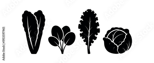 Four black silhouette leafy greens including romaine, spinach, kale and cabbage.