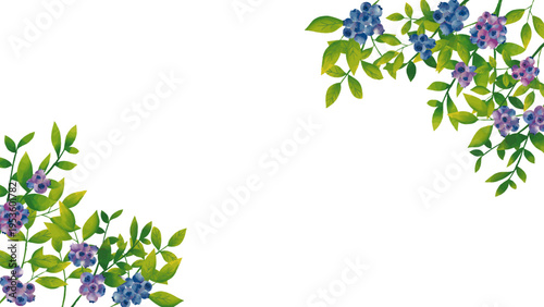 水彩風 フレッシュブルーベリーのフレーム1(16:9)Fresh fruit Series:Watercolor-style frame of fresh blueberries 1