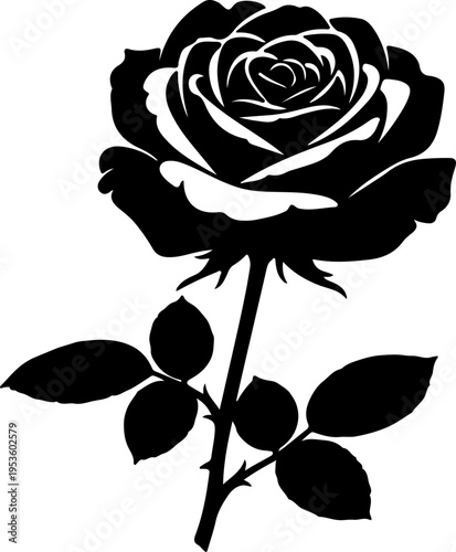 Beautiful Black Silhouette Rose with Green Leaves on White Background