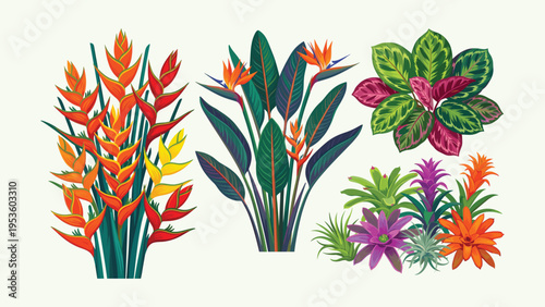 Collection of Exotic Tropical Plants and Colorful Flowers