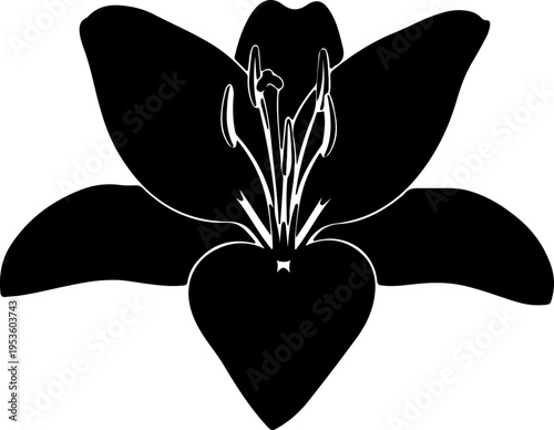 Black Silhouette of a Lily Flower with Detailed Petals and Stamens