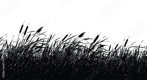 Clean vector illustration featuring a nature silhouette of wild cattail reeds and tall grass against a pure white background.