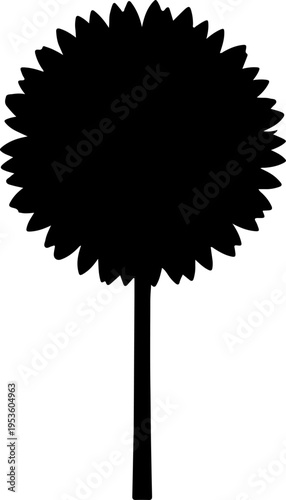 Silhouette of a bushy tree with a thick trunk on a white background