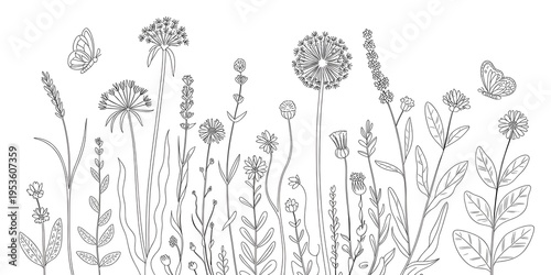 black and white line drawing of wildflowers