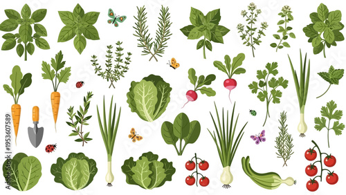 Collection of Various Vegetables and Herbs.