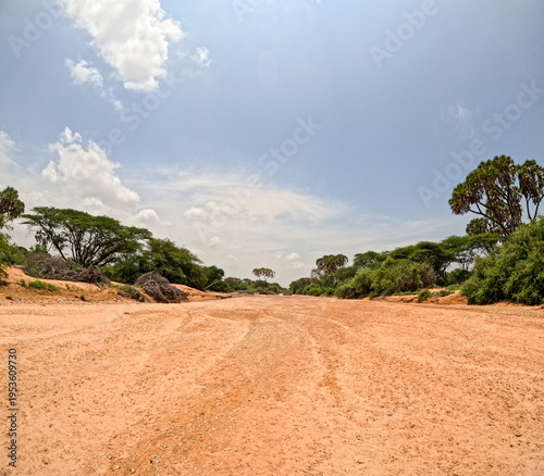 Bild auf Leinwand A dry riverbed in Sera community conservancy in Samburu, Kenya.