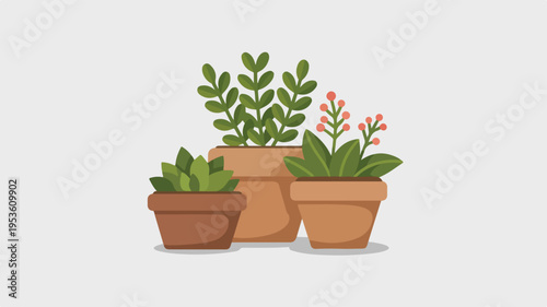 Three potted plants with green leaves and one with pink flowers on a plain background illustrating a decorative indoor setting with terracotta pots
