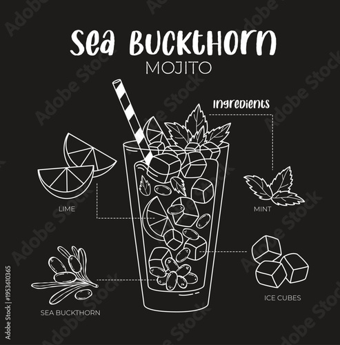 Sea Buckthorn Mojito Recipe Infographic. Cocktail Ingredients with Ice Cubes, Lime Slices and Mint Leaves. Vector Illustration. Outline Hand Drawn. Chalkboard Drink Menu Design on Black Background.