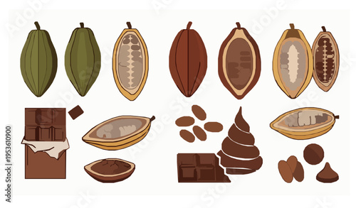 Cocoa icon vector collection cacao beans chocolate vector