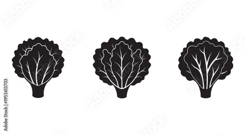 Blackandwhite silhouettes of cabbage heads with white outlines on plain white background