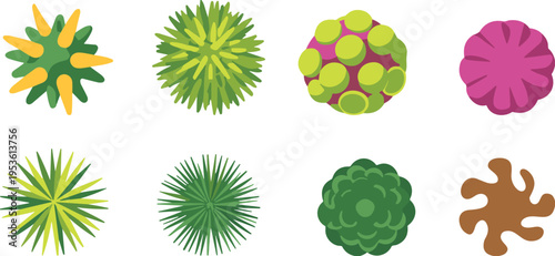 Top view tree and plant symbols vector illustration set for landscape design garden planning architectural site map and outdoor park layout isolated on white