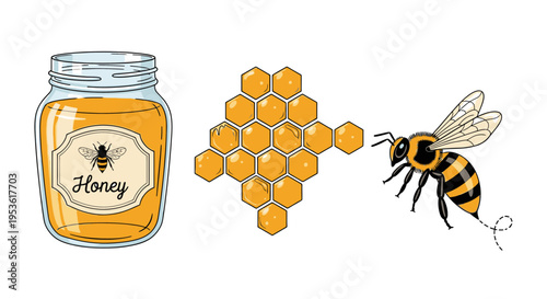 Bee Honey Jar and Honeycomb Illustration.