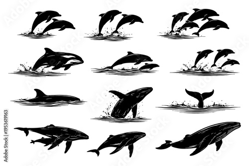 Silhouette collection of dolphins and whales in various poses and movements.
