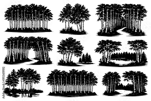 Silhouette landscapes: nine tree and forest compositions with paths and lakes.