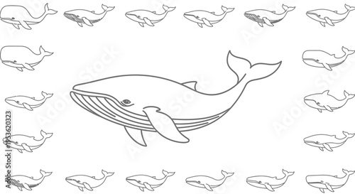 Large Whale Swimming With Small Whales.
