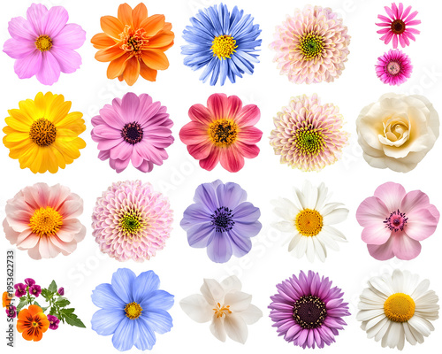 A vibrant photograph of a diverse collection of colorful flower blooms.