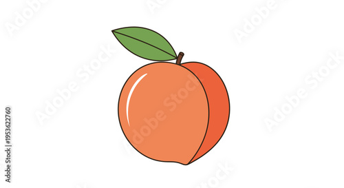 A single ripe orange fruit.