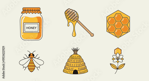 Honey bee and honeycomb illustrations 4.