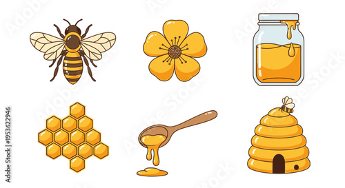 Honey bee and honeycomb illustrations.
