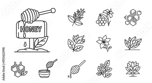 honey bee insect sweet food.