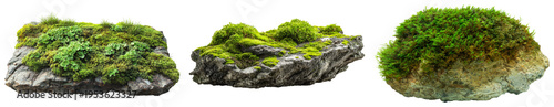A diverse collection of moss-covered rocks and stones, featuring vibrant green foliage and natural textures.