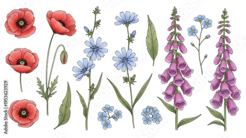 Vibrant flowers bloom in a lush field with poppies, forget-me-nots, and foxgloves.