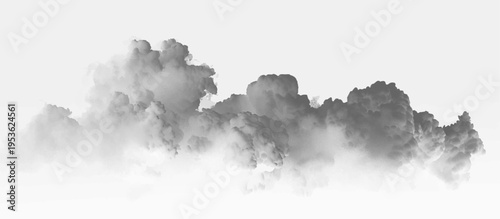 Tableau sur toile Soft white smoke with smooth flowing motion and transparent texture, perfect for overlays and atmospheric digital designs