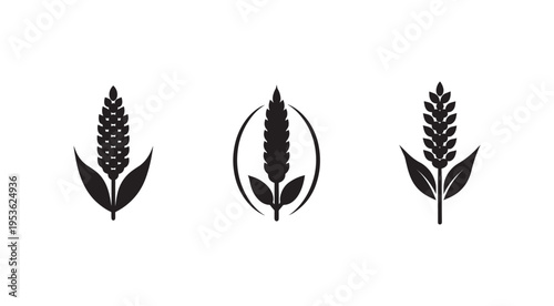 Black silhouette wheat icons with leaves and oval frame  agriculture symbols