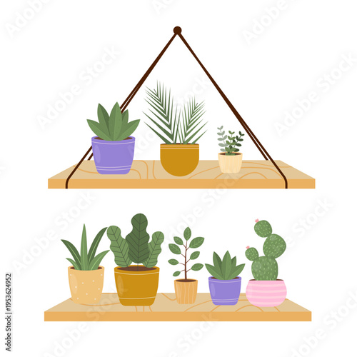 Plant Shelf Vector Illustration with Potted Houseplants