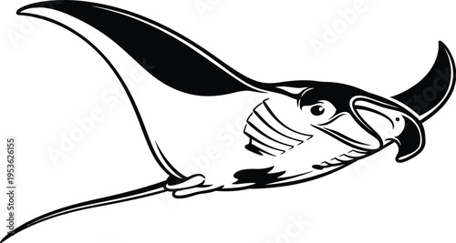 Black and white illustration of a manta ray swimming