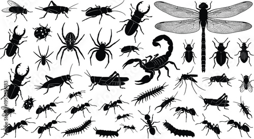 Detailed insect silhouettes collection with dragonfly, beetle, spider and scorpion, wildlife illustration set, entomology study, black design, nature diversity and species variety