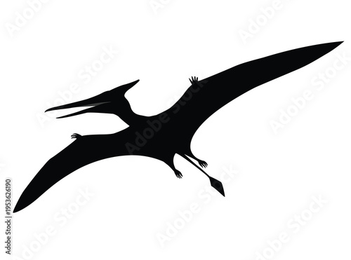 Black silhouette illustration of a Pterodactyl flying, prehistoric reptile, illustration represents the ancient flying dinosaur