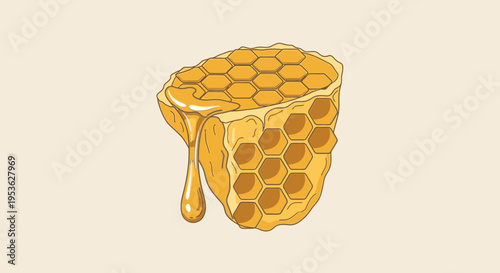Honeycomb with golden honey dripping 2.