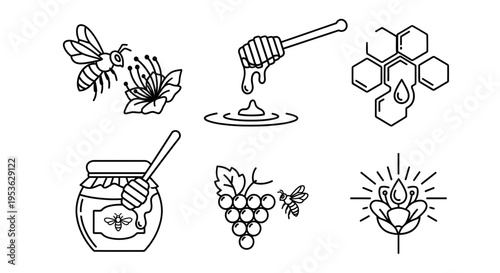 Honey bees collecting nectar from flowers.