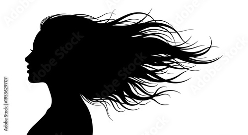 Silhouette of a Womans Head with Flowing Hair.